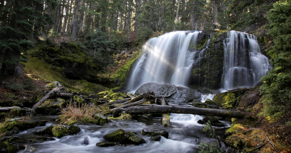 10 Best Waterfalls Near Portland, OR