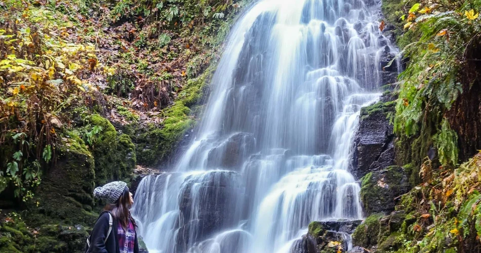10 Best Waterfalls Near Portland, OR