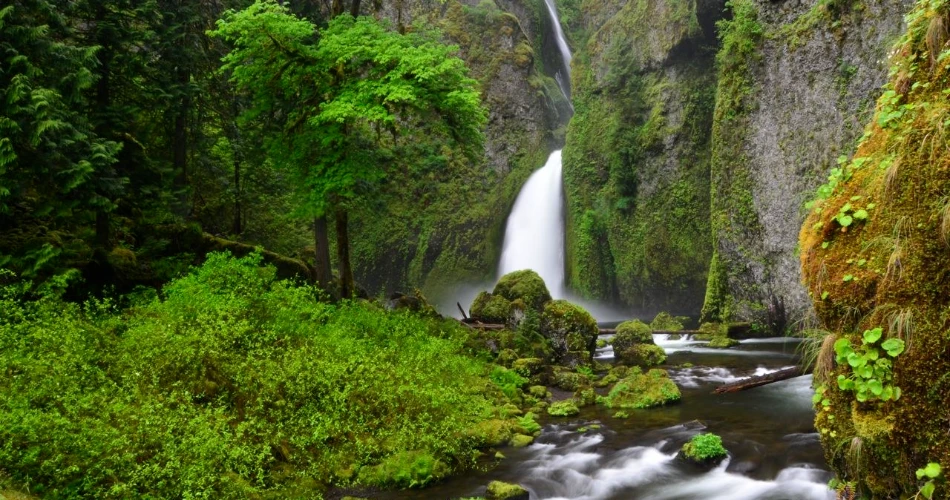 10 Best Waterfalls Near Portland, OR