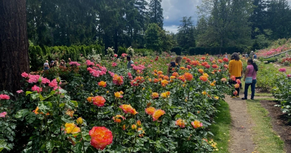 10 Aktiviti Keluarga Terbaik di Portland, OR