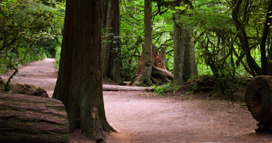 10 Aktiviti Keluarga Terbaik di Portland, OR