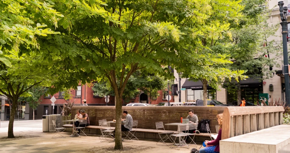 A Slow Weekend in Portland: Coffee, Parks, and Local Spots