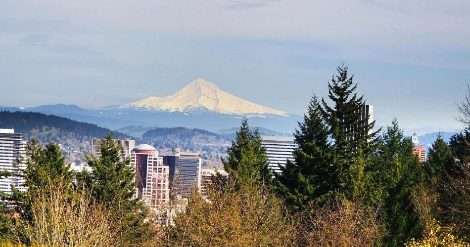 A Slow Weekend in Portland: Coffee, Parks, and Local Spots