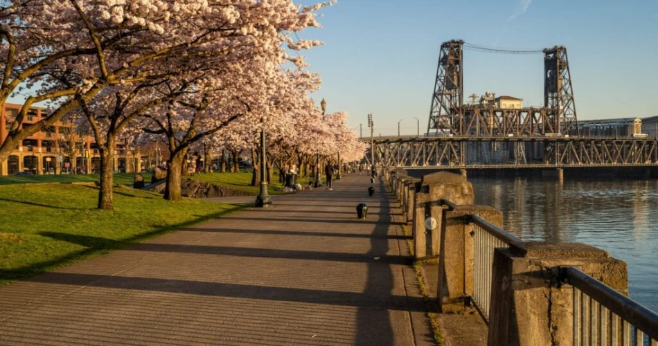 A Slow Weekend in Portland: Coffee, Parks, and Local Spots