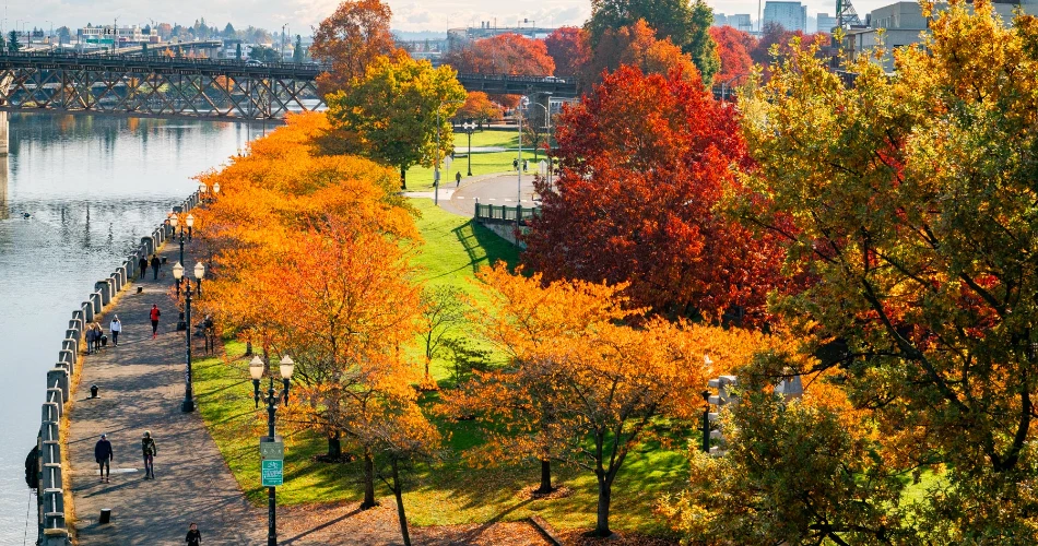 A Slow Weekend in Portland: Coffee, Parks, and Local Spots