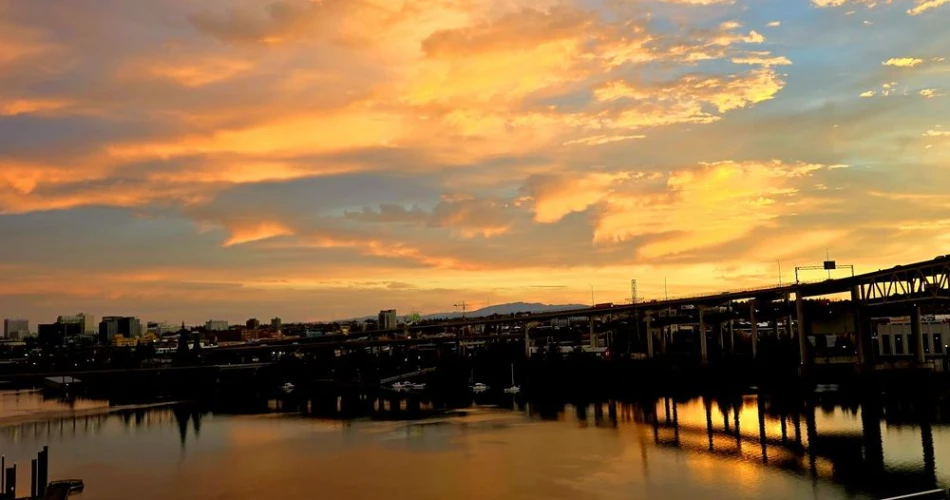 A Slow Weekend in Portland: Coffee, Parks, and Local Spots