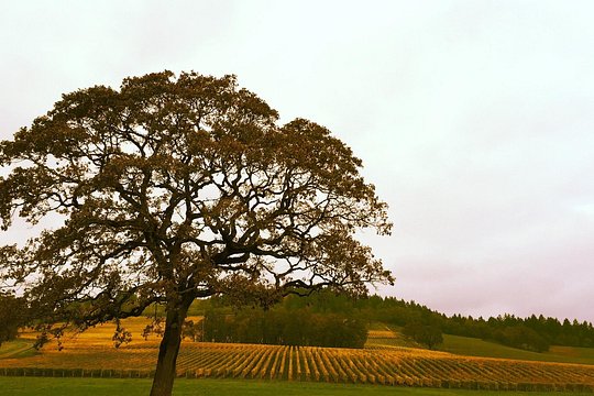 Tour image 2