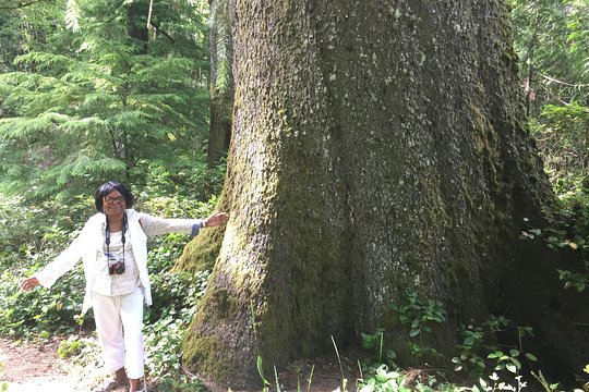 Tour image 7