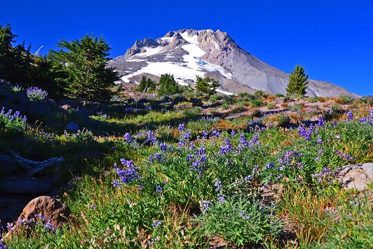 Tour image 1