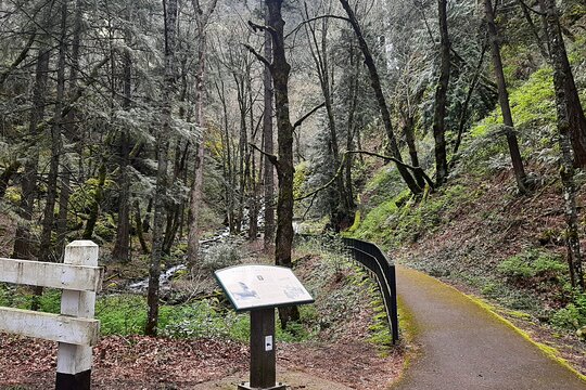 Tour image 4